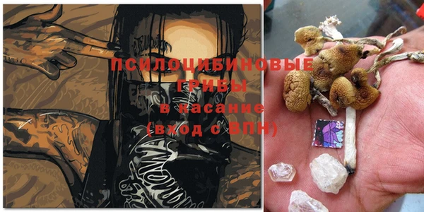 ешки Абаза
