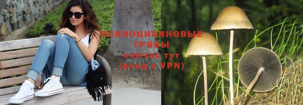 экстази Лиски