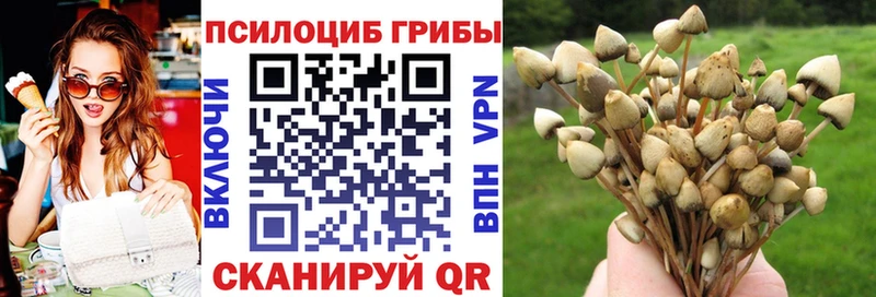 Псилоцибиновые грибы MAGIC MUSHROOMS Тырныауз
